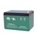 Batteri 12V 12AH (6-DZM-12)