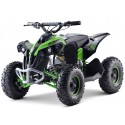 Renegade Brushless 1060W Kardan el-ATV