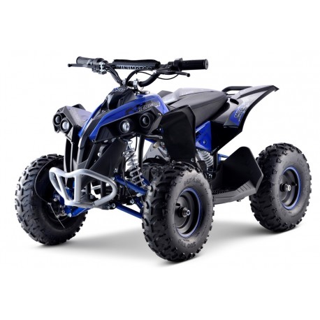 Renegade Brushless 1060W Kardan el-ATV