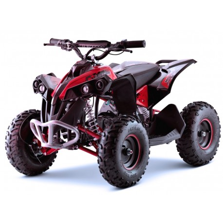 Renegade Brushless 1060W Kardan el-ATV